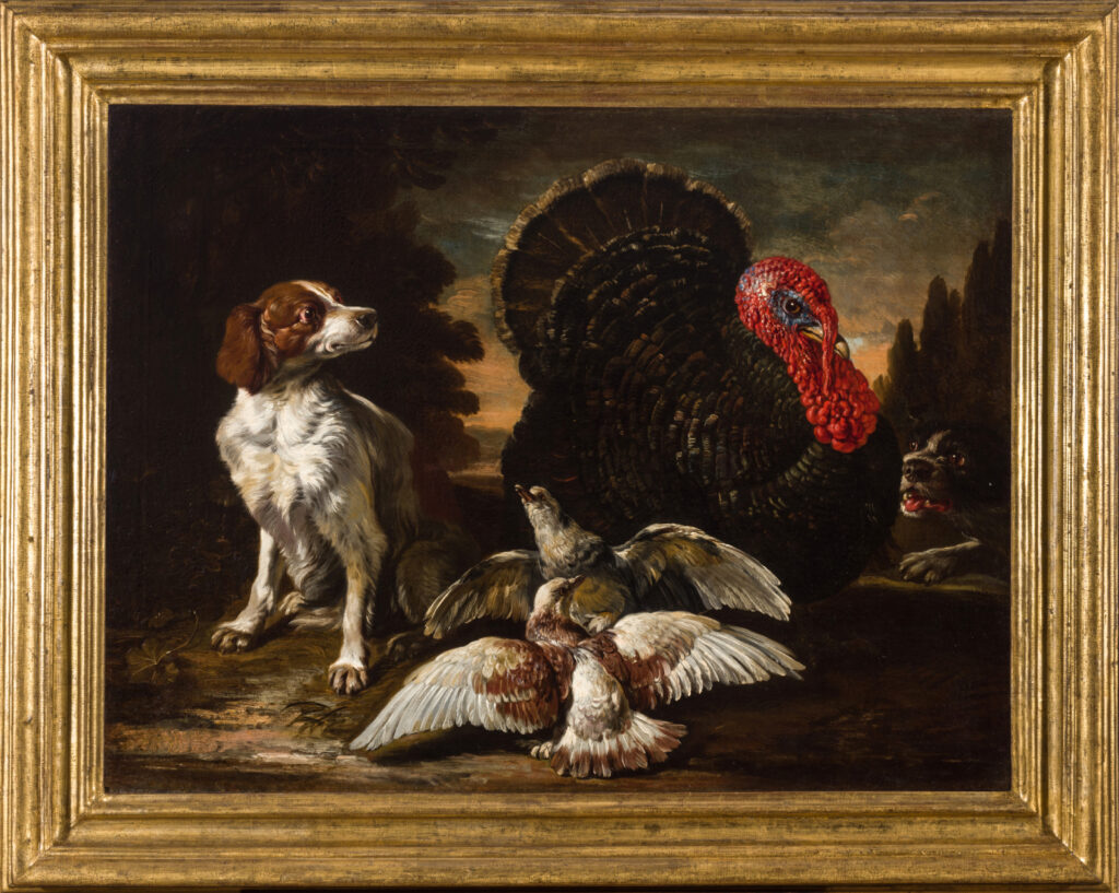 David De Coninck Arcuti Fine Art